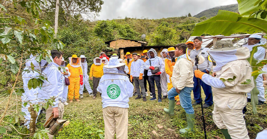 Encuentro técnico promueve el intercambio de experiencias entre apicultores de Puno y Cusco Devida Perú