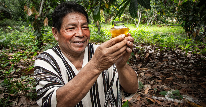 Devida impulsa la crianza de abejas nativas sin aguijón en comunidades asháninkas de Río Tambo Junín Perú
