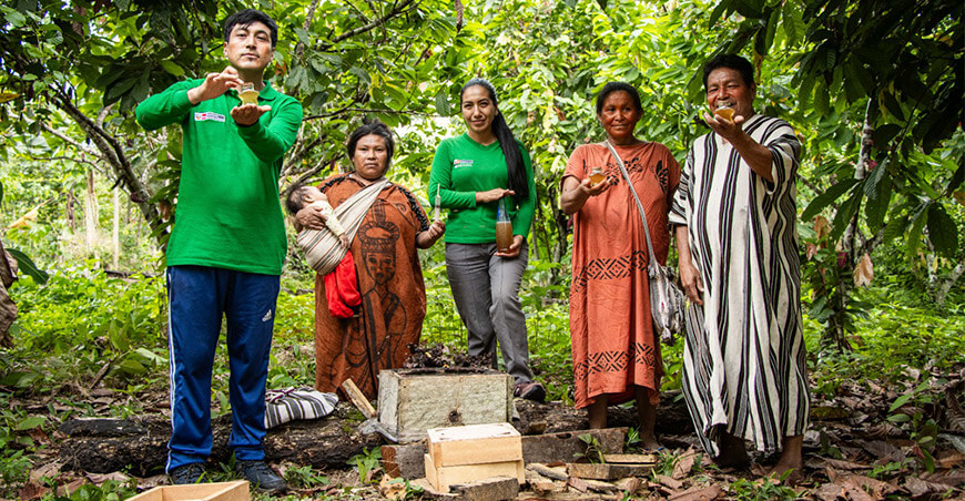 Devida impulsa la crianza de abejas nativas sin aguijón en comunidades asháninkas de Río Tambo Junín Perú