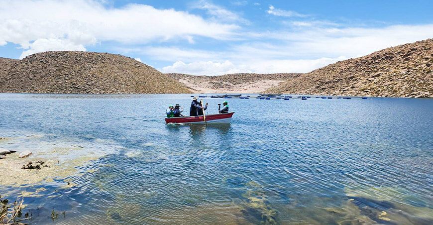 Distribuyen agua de la represa Coltani para irrigar 269 hectáreas agrícolas en Ilabaya Tacna Perú