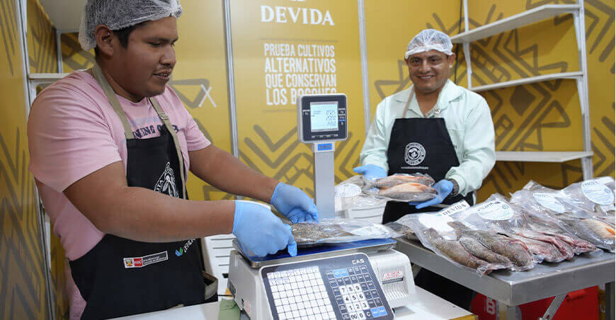 Expovida Puno Devida Perú
