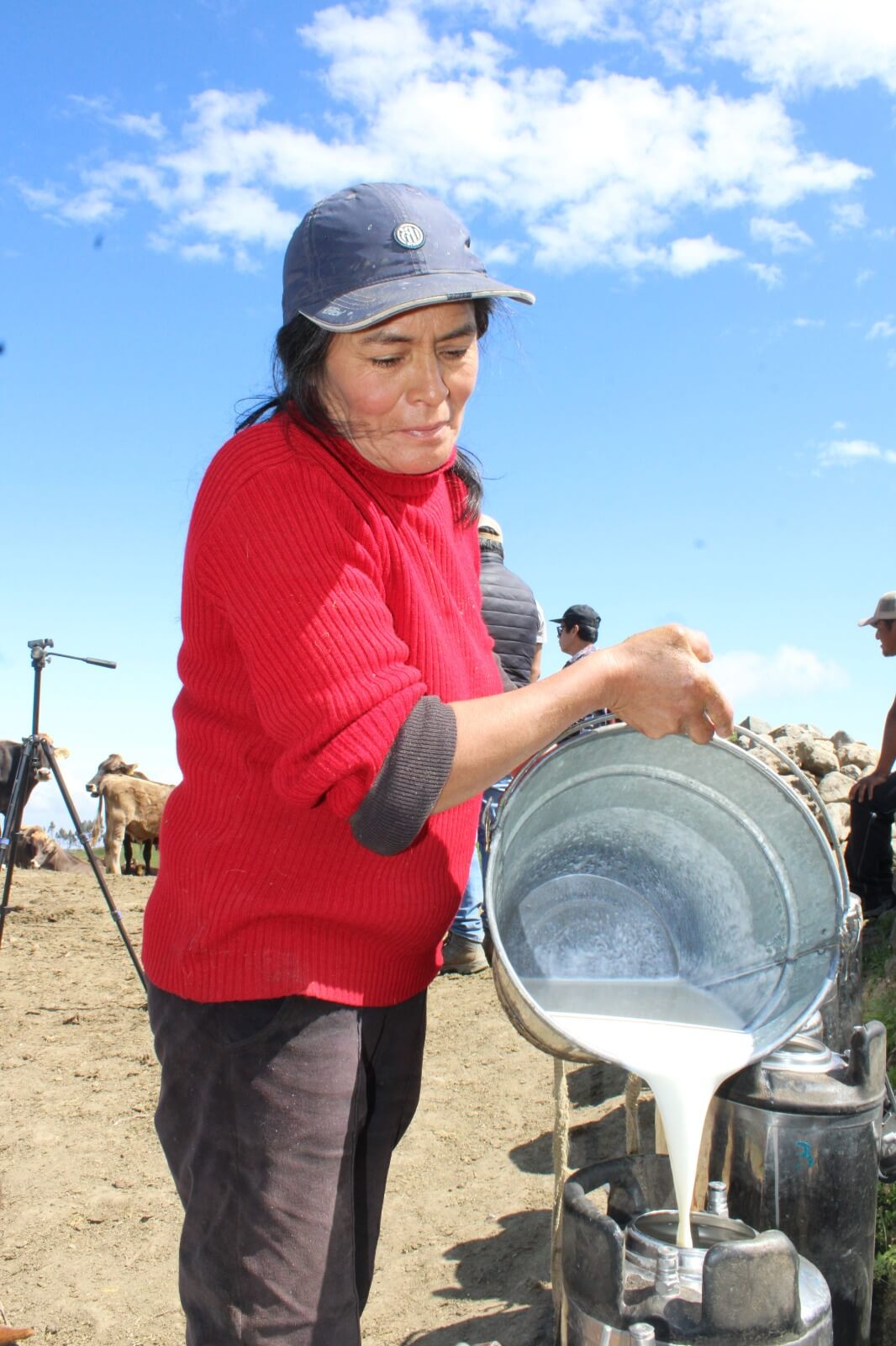 ganadería bovina lechera Ocros Áncash Perú