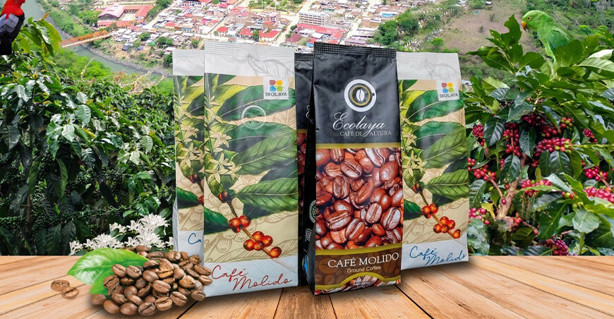 Café cusqueño de 86.08 puntos obtiene el primer lugar en la Golden Cup Perú 2025