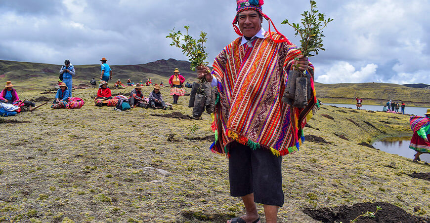 Cusco instalará más de 5 millones de plantones nativos 