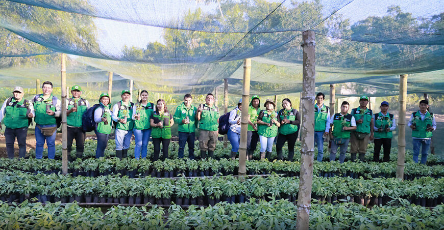 Huánuco invita a participar de la Semana Forestal Nacional