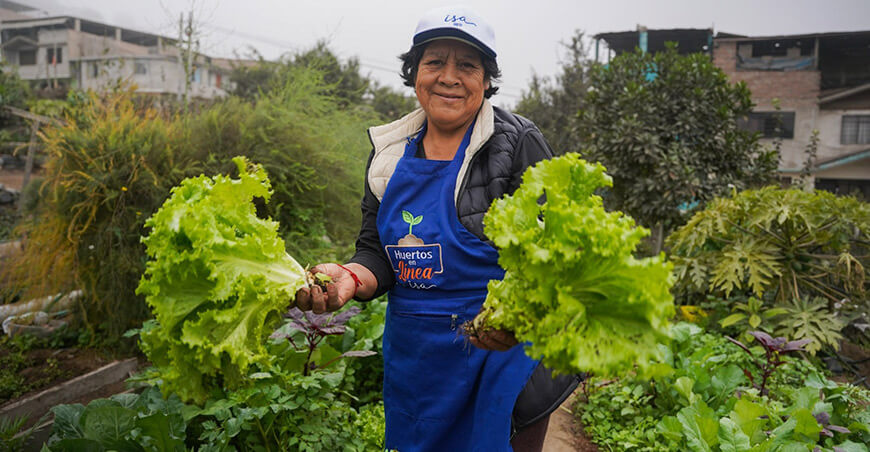 Huertos en línea Lima Perú