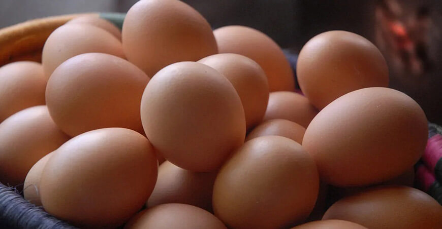 huevos