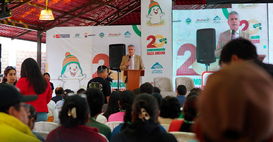 
INIA Perú Raza de cuy Andina cumple 20 años 