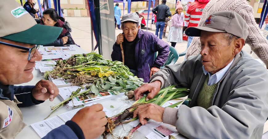 Módulos de Asistencia Técnica Clínica de Plantas INIA Perú productores de Cochas Junín
