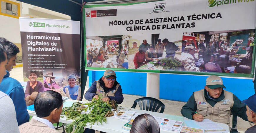 Módulos de Asistencia Técnica Clínica de Plantas INIA Perú productores de Cochas Junín 