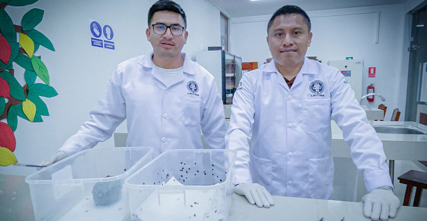 Investigadores de la UNTRM descubren hongo con potencial para controlar plagas del cacao en la Amazonía Perú