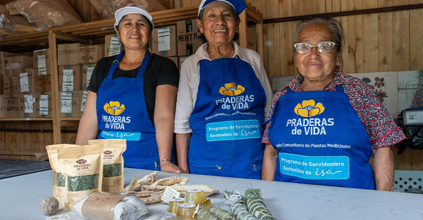 Conoce Praderas de Vida, un jardín medicinal que transforma comunidades