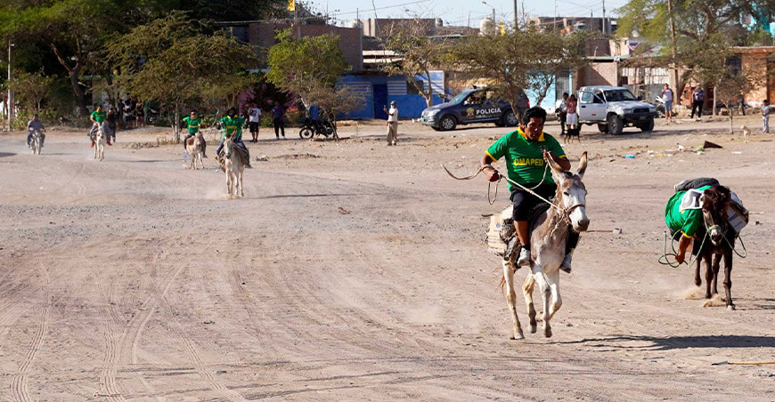 Ocucaje celebrará su cultura con la trilla del pallar y la carrera de burros XXXI Festival de la Menestra Ica Perú