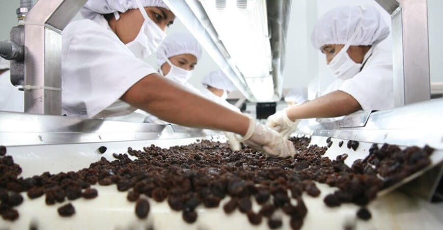Perú exportación de pasas peruanas