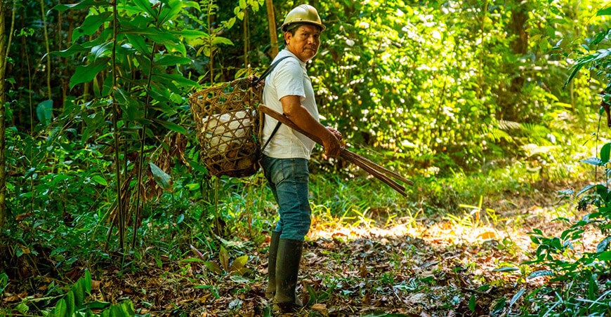WWF Perú restaura bosques Madre de Dios