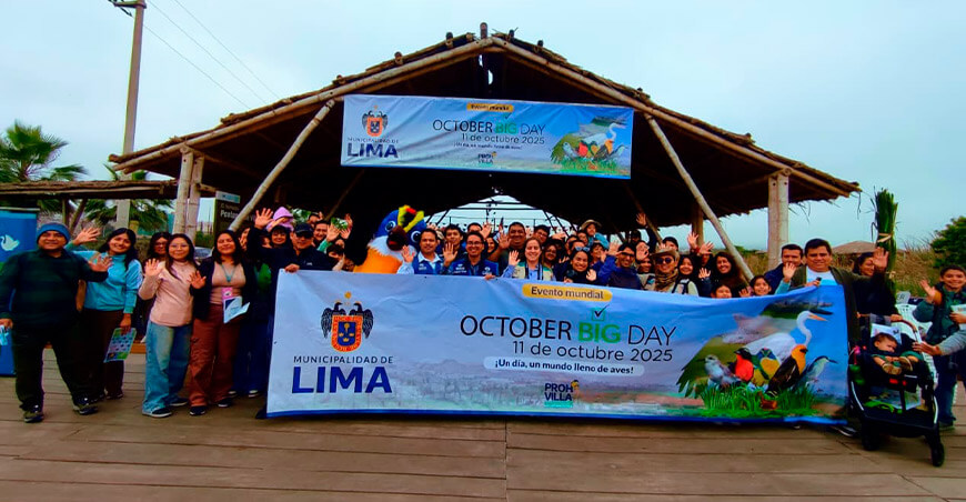 El humedal Pantanos de Villa reafirma su liderazgo como el principal destino de avistamiento de aves en Lima región October Big Day