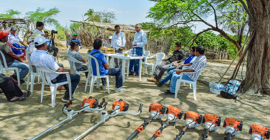 Procompite Piura fortalece cadena productiva de mango de la Asociación Ex Huayna Capac, del sector Valle de los Incas