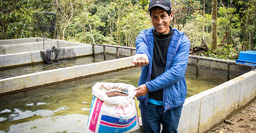 Devida fortalece la producción de truchas en favor de familias de Pangoa y Andamarca Junín Perú