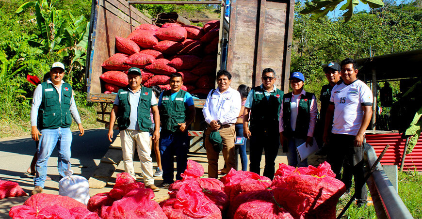 Productores de Ayacucho concretaron envío de más de 50 toneladas de cúrcuma a Europa