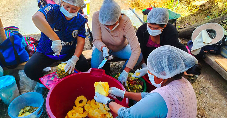 Productores de Yanahuaya se capacitaron en elaboración de néctar y mermelada de piña Puno Perú
