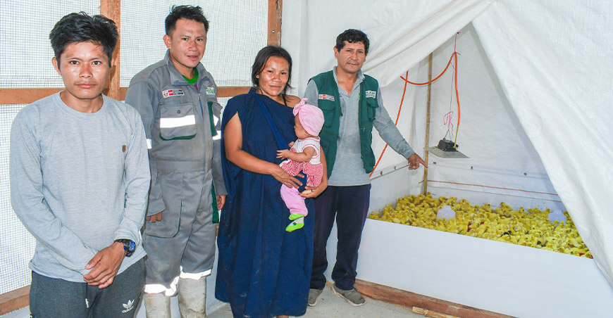 Provraem instaló módulos de patos bebés en la comunidad nativa Yoyayo Río Tambo Junín Perú
