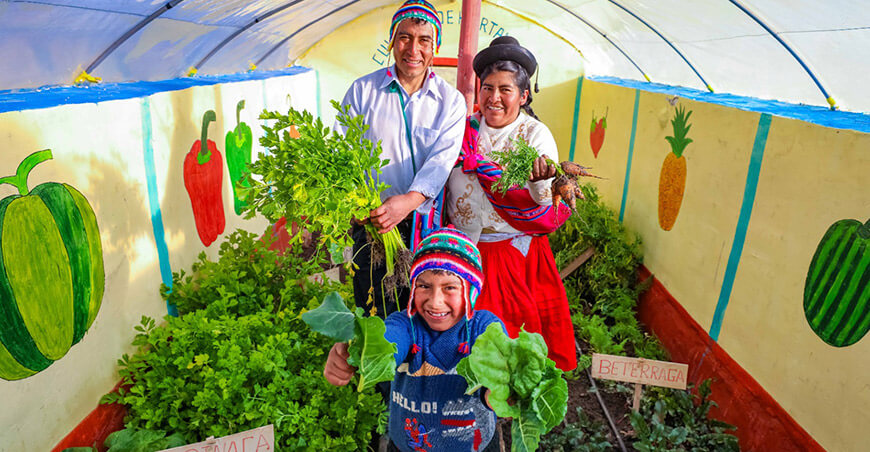 Foncodes proyecyos biohuertos familias rurales Perú