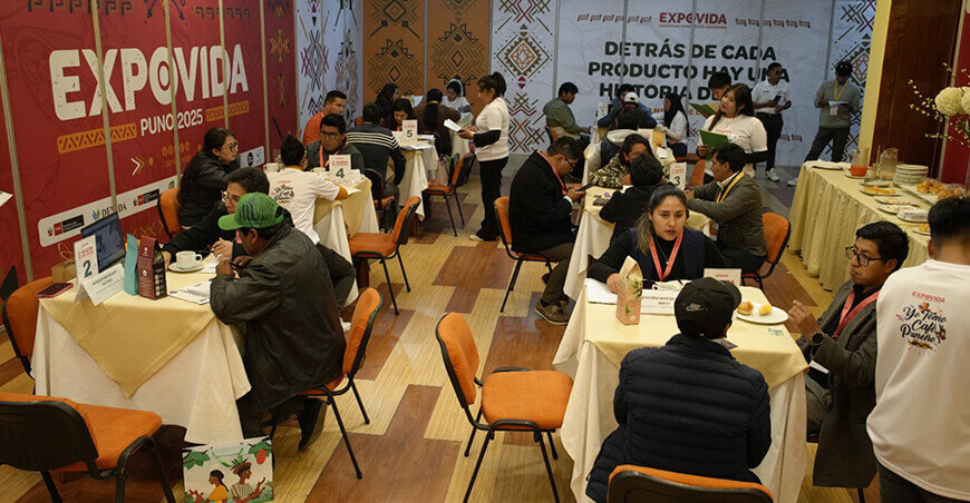 Expovida Puno Devida Perú