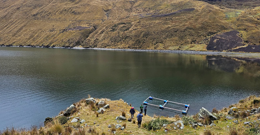 Sembraron 15 000 alevinos de trucha en la laguna de Huarmiccocha Huancavelica Perú