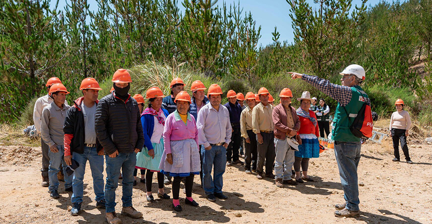 Pobladores de Shecta y Serfor realizaron jornada de manejo forestal en plantaciones de pino Serfor Perú
