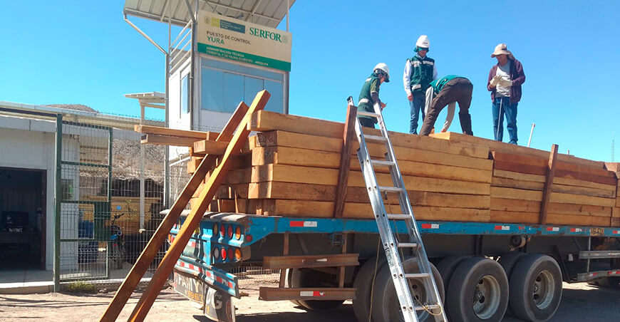 Serfor decomisó madera ilegal de especies protegidas valorizadas en S/70 000 en Arequipa Perú
