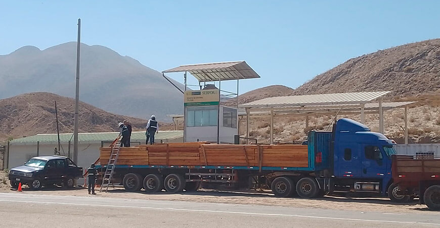 Serfor decomisó madera ilegal de especies protegidas valorizadas en S/70 000 en Arequipa Perú