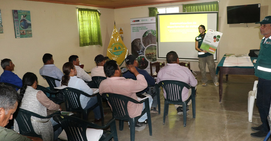 Serfor productores tara