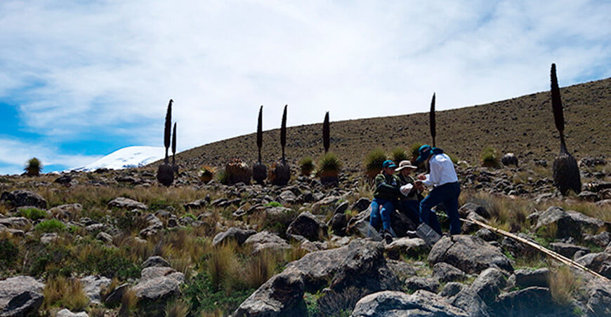 Inician primer proyecto de restauración de ecosistemas degradados en Arequipa