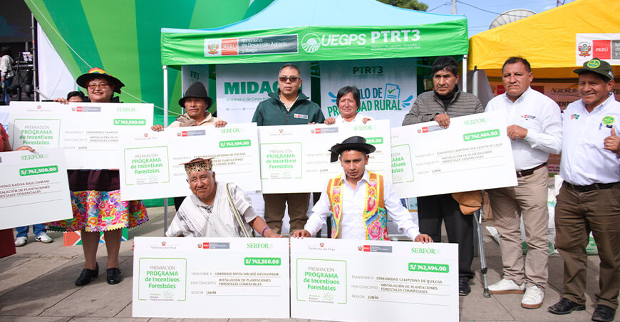 Serfor entregó incentivo de cerca de S/6 millones a 8 organizaciones para plantaciones forestales comerciales en Junín Perú