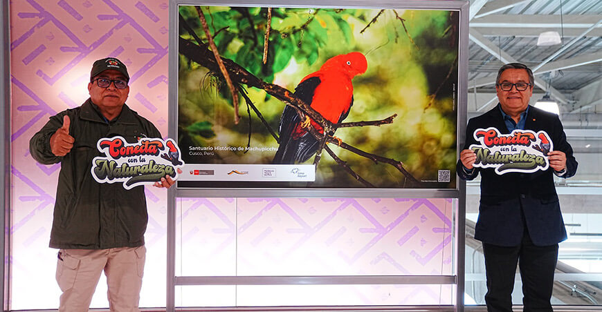 Aeropuerto Jorge Chávez se convierte en vitrina de la biodiversidad peruana con la muestra “Conecta con la Naturaleza”