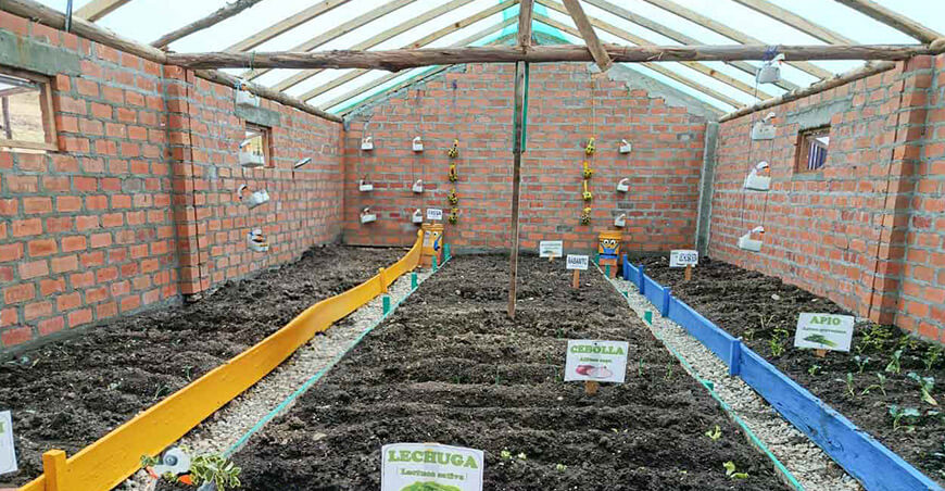 Agro Rural fitotoldos productores de Junín Perú