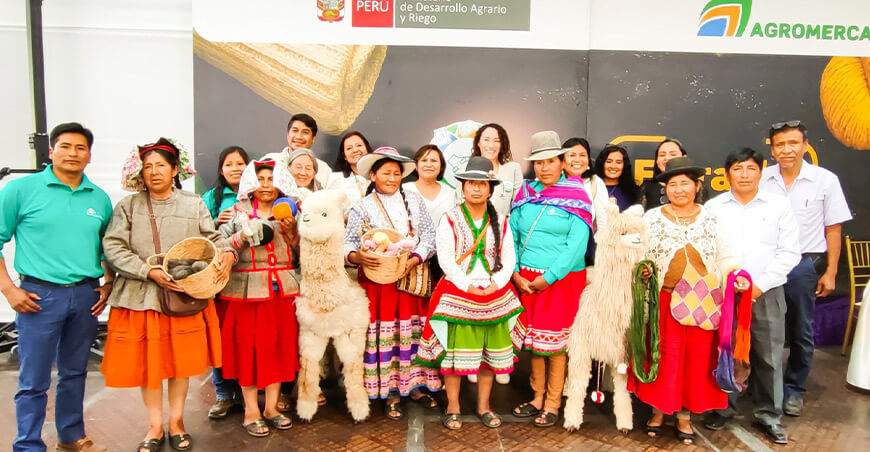 Productores de palta y fibra de alpaca