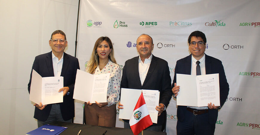 Innovación agrícola: la IA impulsa nuevas herramientas para la asistencia técnica en el Perú AYDI