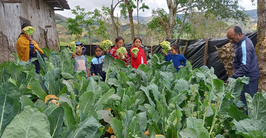 Biohuertos escolares promueven conciencia ambiental y alimentación saludable en San Miguel Cajamarca Perú