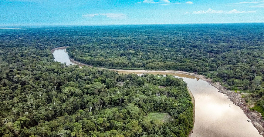 Minam monitorea 67 millones de hectáreas de bosques húmedos amazónicos con tecnología satelital