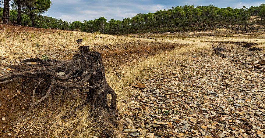 Latinoamérica revela una creciente brecha en la preocupación por el cambio climático sequía Latam