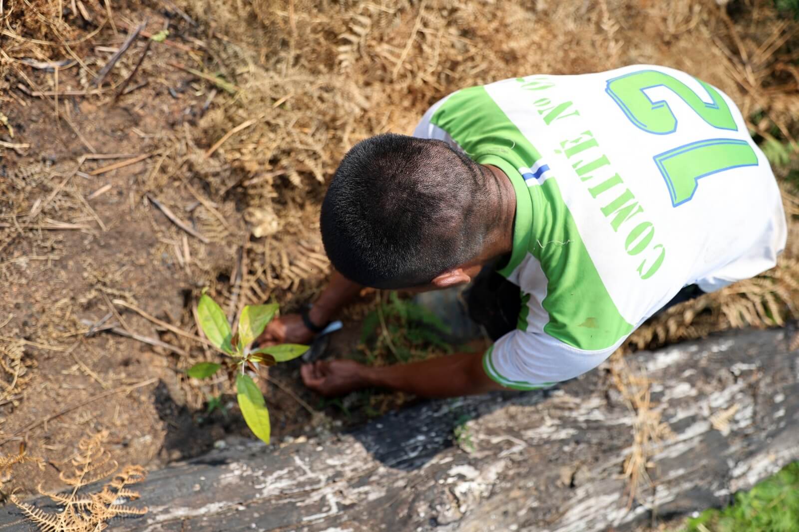 Comunidad nomatsigenga recupera su bosque en Mazaronquiari en Pangoa Junín Perú Osinfor