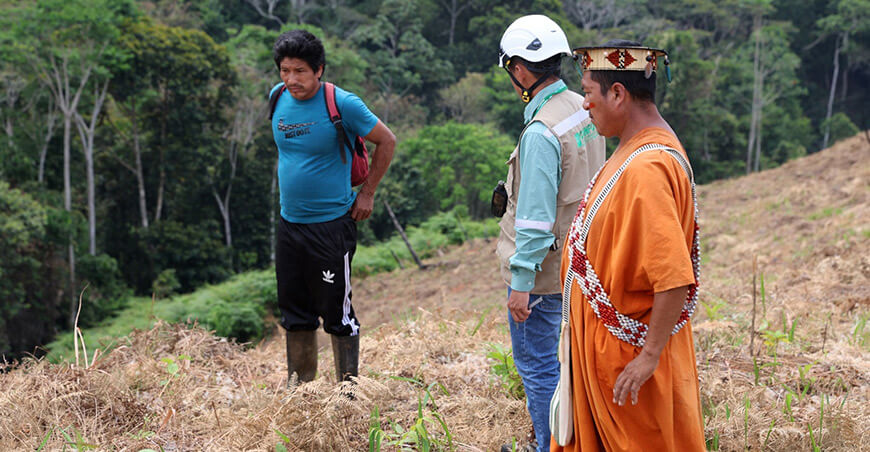 Comunidad nomatsigenga recupera su bosque en Mazaronquiari Pangoa Junín Perú Osinfor