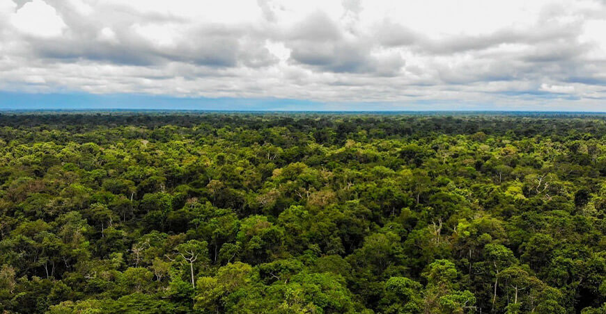 conservación bosques Amazonía peruana