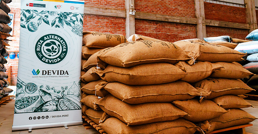 Cooperativa Agraria Tropicals Products de Pichanaqui exporta café verde a Dinamarca con respaldo de Devida Perú