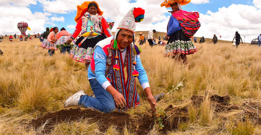 Cusco instalará más de 30 millones de plantones nativos 