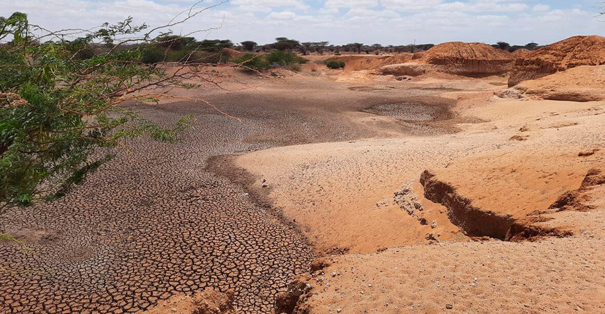 personas afectadas por la disminución del rendimiento de los cultivos debido a la degradación de las tierras