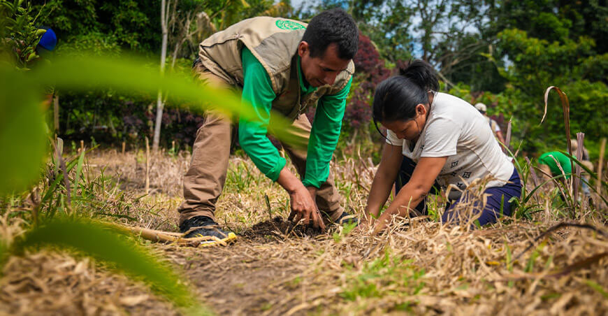 Devida impulsó jornadas de reforestación en instituciones educativas de Pangoa y Mazamari Junín Perú