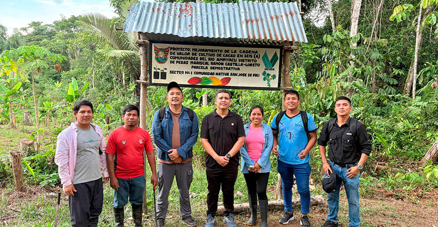 Devida y Municipalidad de Pebas impulsan el desarrollo del cacao en comunidades indígenas Loreto Perú