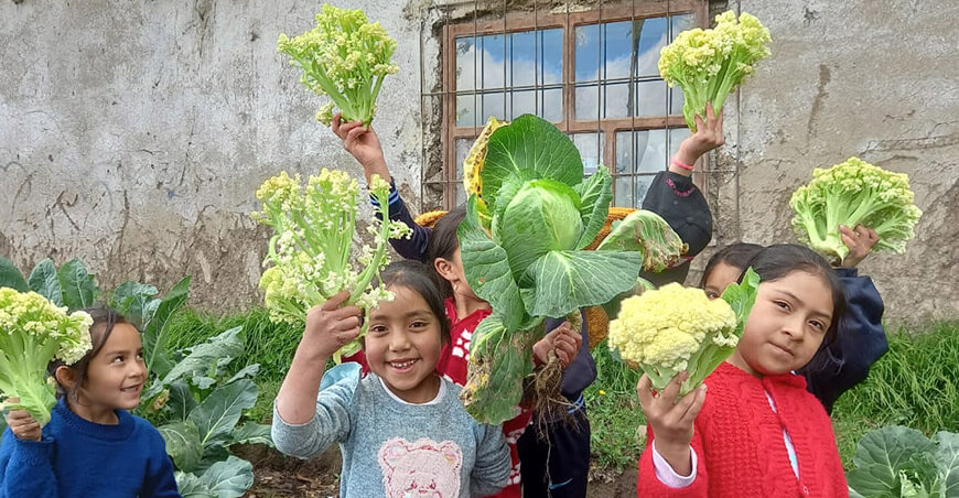 Biohuertos escolares promueven conciencia ambiental y alimentación saludable en San Miguel Cajamarca Perú
